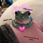 Beld0gf9fgrngm Frogcore is an aesthetic purely based around frogs and toads. https aesthetics fandom com wiki frogcore