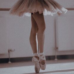 Ballet Academia Aesthetics Wiki Fandom