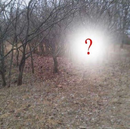 by u/dontknow1256 on Reddit