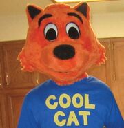 CoolCat