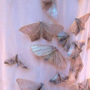 Angelcore Aesthetics Wiki Fandom Angelcore is an aesthetic inspired by imagery and depictions of angels. angelcore aesthetics wiki fandom