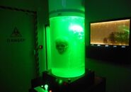 Skull in a tube with green liquid.