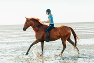 2-BKPbAQ.jpg (127 KB)