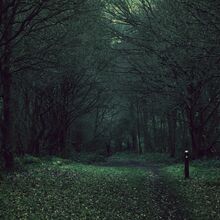 Dark Naturalism Aesthetics Wiki Fandom Dark naturalism's visuals revolve around nature with a sense of obscure mystery. dark naturalism aesthetics wiki fandom