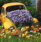 Gardencore.jpg (50 KB)