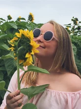 Bwg-sunflower.jpg (250 KB)