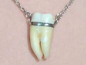 A tooth necklace.