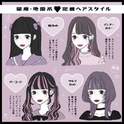 由Akagumi-chan绘制的典型发型插图。