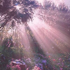 Ethereal Aesthetics Wiki Fandom There are already 41 enthralling, inspiring and awesome images tagged with ethereal aesthetic. ethereal aesthetics wiki fandom