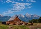 1017250-bison-in-grand-teton-national-park.jpg (1.04 MB)