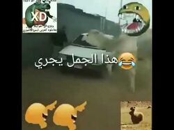 Arabfunny | Aesthetics Wiki | Fandom Arabfunny | Aesthetics Wiki | Fandom