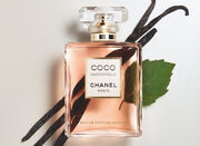 COCO MADEMOISELLE 62496