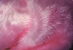 A picture of pink fur to cuddle up in, with a soft filter.