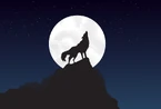Wolf-4561204 1280.png (124 KB)