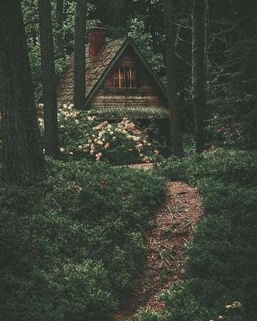 Woodland Goth Aesthetics Wiki Fandom ❋ aesthetics (dark academia edition, and many other things). woodland goth aesthetics wiki fandom