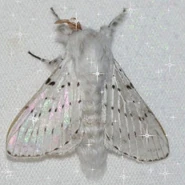 097e1d38cde6702866b044776a628ff4.jpg (49 KB)