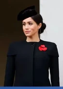 Meghan, Duchess of Sussex, wearing a poppy pin for Remembrance Day.