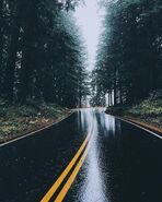 Rainy road