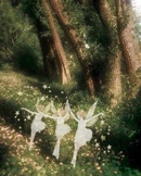 Forestwithfairies.jpg (140 KB)