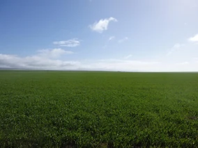 Tumblr 48f787bb691341bf8cff23bbefe579b7 fe5a9054 540.jpg (76 KB)