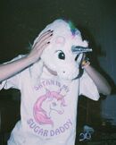 Grunge unicorn