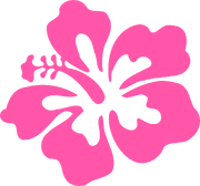 A pink hibiscus, a recurring symbol of the aesthetic.