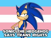 SonicTransRights