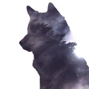 Wolf-2741085 1920.jpg (301 KB)