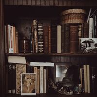 Dark Academia Aesthetics Wiki Fandom Regardless of age, race, education standard and gender. dark academia aesthetics wiki fandom