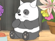 E40AADBB-10BB-4F19-863A-A9AA5F53B209.jpg (48 КБ)