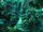 Junglecore