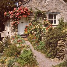 Cottagecore Aesthetics Wiki Fandom