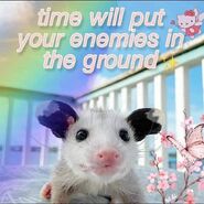 Animal-time-will-put-enemies-ground