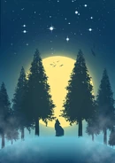 Night-5464797 1920.jpg (377 KB)