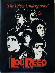 The Velvet Underground book.jpg
