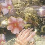 Fairycore Aesthetics Wiki Fandom | see more about aesthetic, cottagecore and soft. fairycore aesthetics wiki fandom