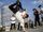 Hip-Hop