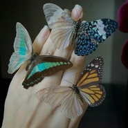 79f72c2096a798e5d498d6299471b8ab.jpg (45 KB)