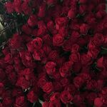 By 𝗌𝗂𝖽𝖾 𝖾𝖿𝖿𝖾𝖼𝗍𝗌.jpg (78 KB) By 𝗌𝗂𝖽𝖾 𝖾𝖿𝖿𝖾𝖼𝗍𝗌