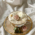 Light Academia Aesthetics Wiki Fandom The light academia aesthetic is for adoring life in every way. light academia aesthetics wiki fandom