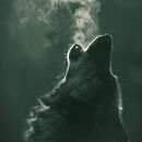 Wolf-green-howl