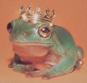 Frogcore.jpg