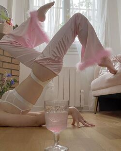 Pink Pilates Princess, Aesthetics Wiki
