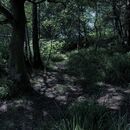 Darknature9.jpg (836 KB)