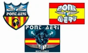 Evidence of the scene's political polarization in the late 1990s. These variations of the Pont Aeri logo illustrate the ideological fracture within the subculture: adapting the brand to feature the Catalan Senyera (top left), the Spanish Rojigualda (top right), and eventually devolving into explicit far-right extremism (bottom), marking the end of the scene's golden age.
