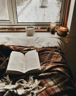 Comfy Cozy Aesthetics Wiki Fandom
