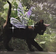 Dc4edf172a1f6e2991def360a7a41d99.jpg (72 KB)