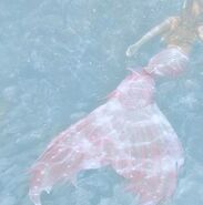 Seacore mermaid