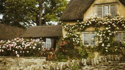 Cottagecore House.jpg