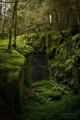 5CEA9B0F-9230-4370-993C-93F552F5E4B1.jpeg (154 KB)